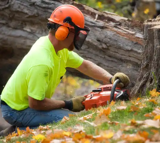 tree services Whitehall